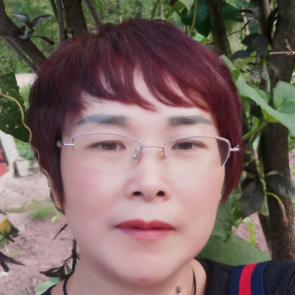 明亮停止西安的照片