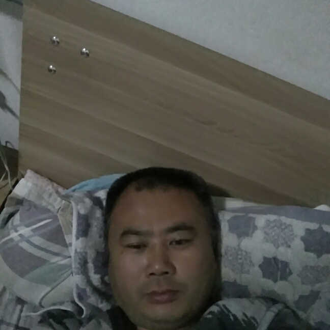 海燕請愤怒的照片