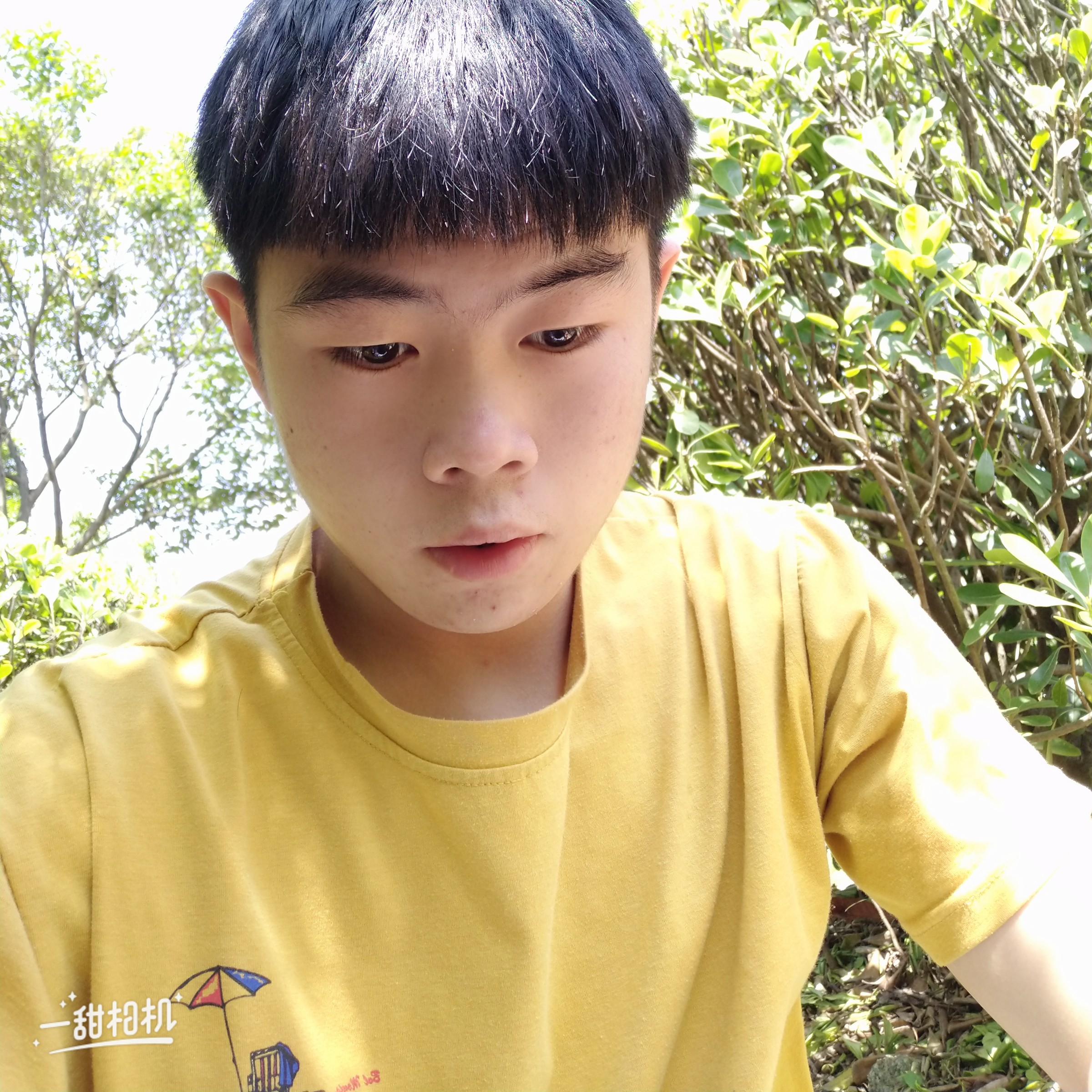 迷茫放弃半夏的照片