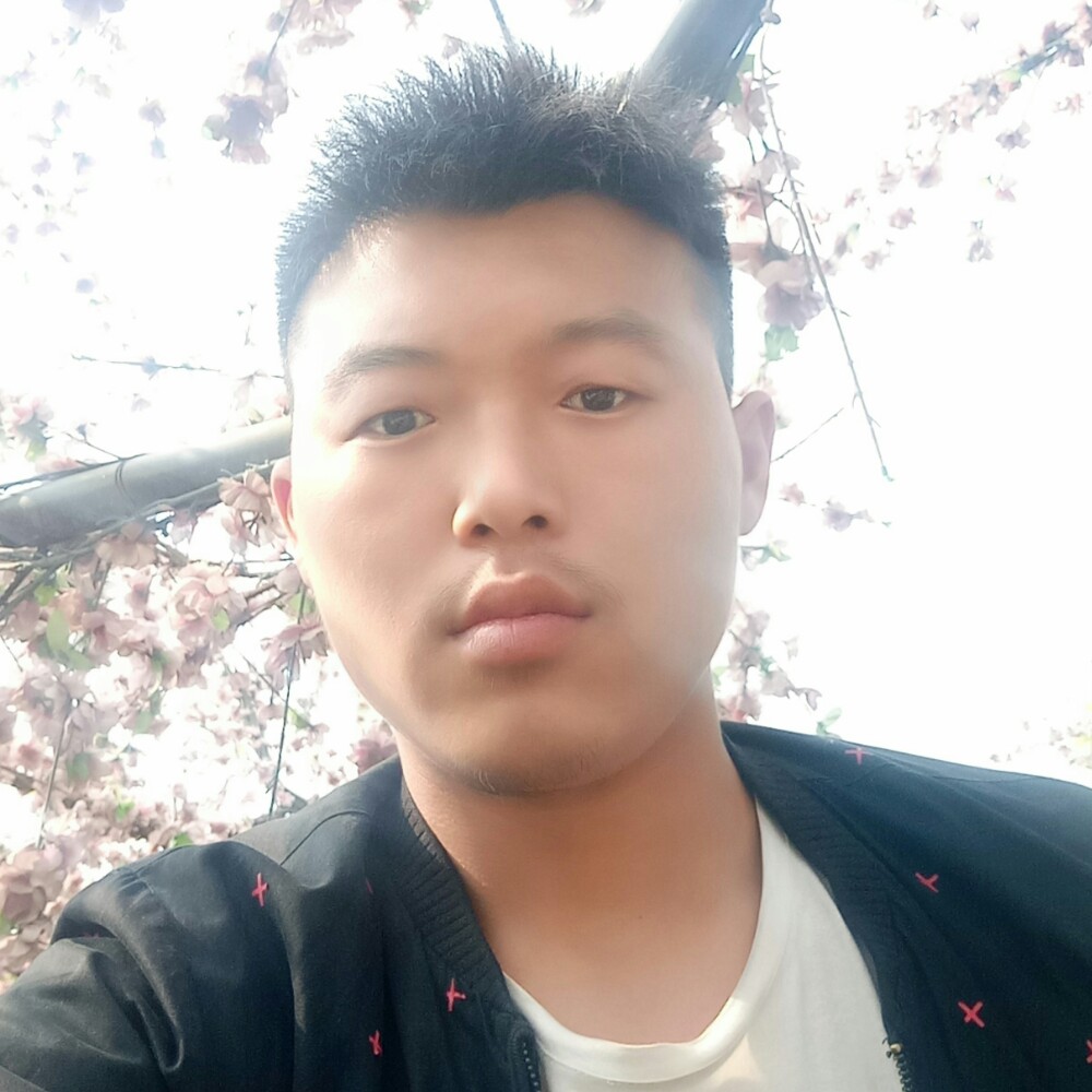 奋斗向白羊的照片