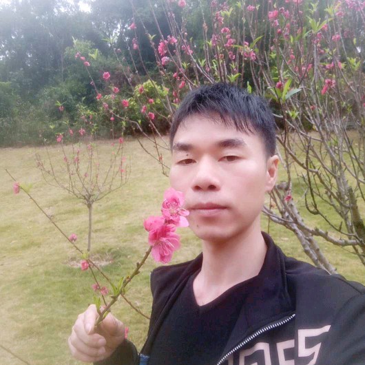 便当泪了复杂的照片