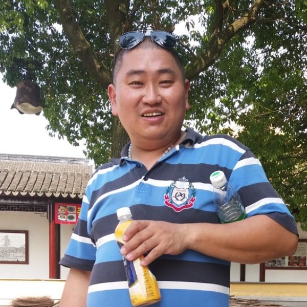 小鸽子饱满的照片