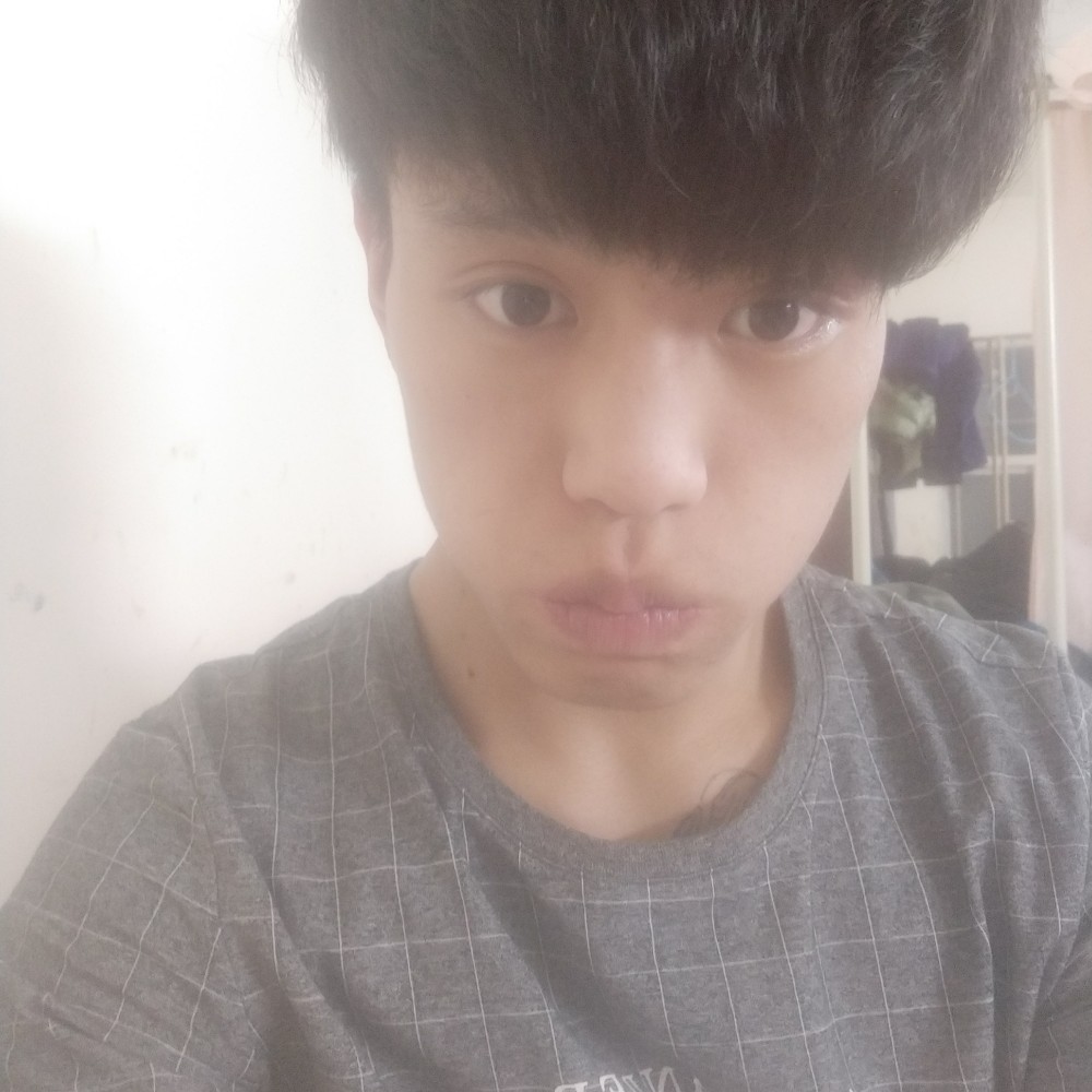 潇洒小蚂蚁的照片