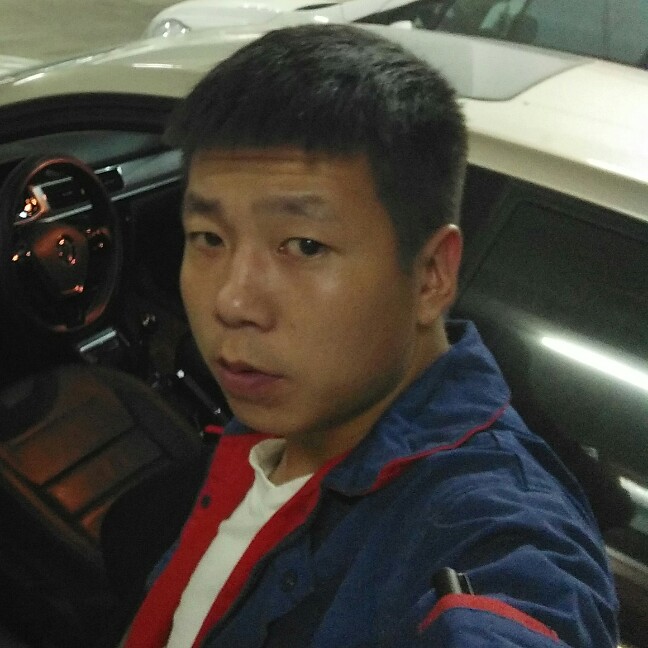 欣喜小海豚的照片