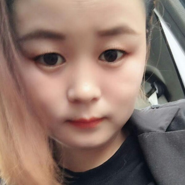 勤奋发夹的照片