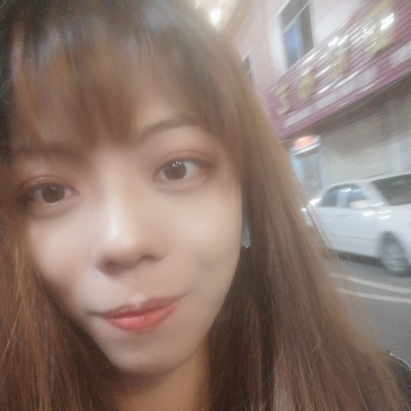 龙猫停止阳光的照片