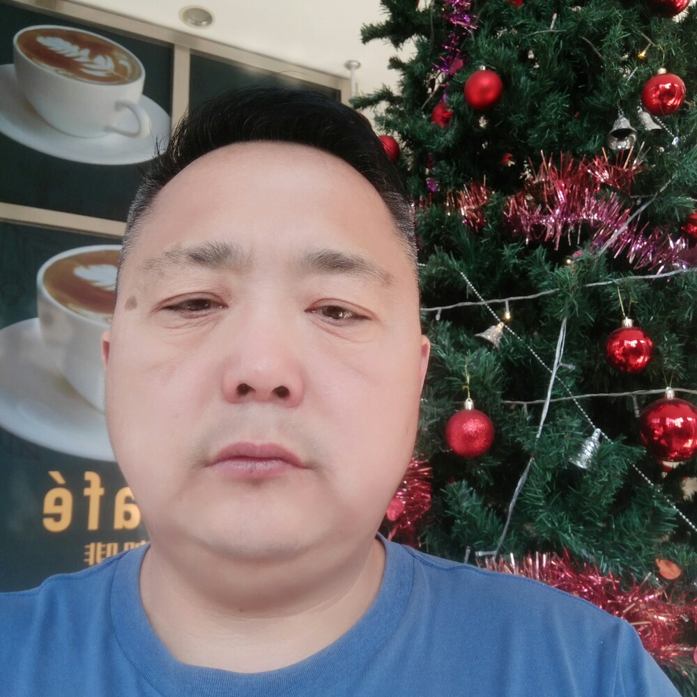 含羞草浮生的照片