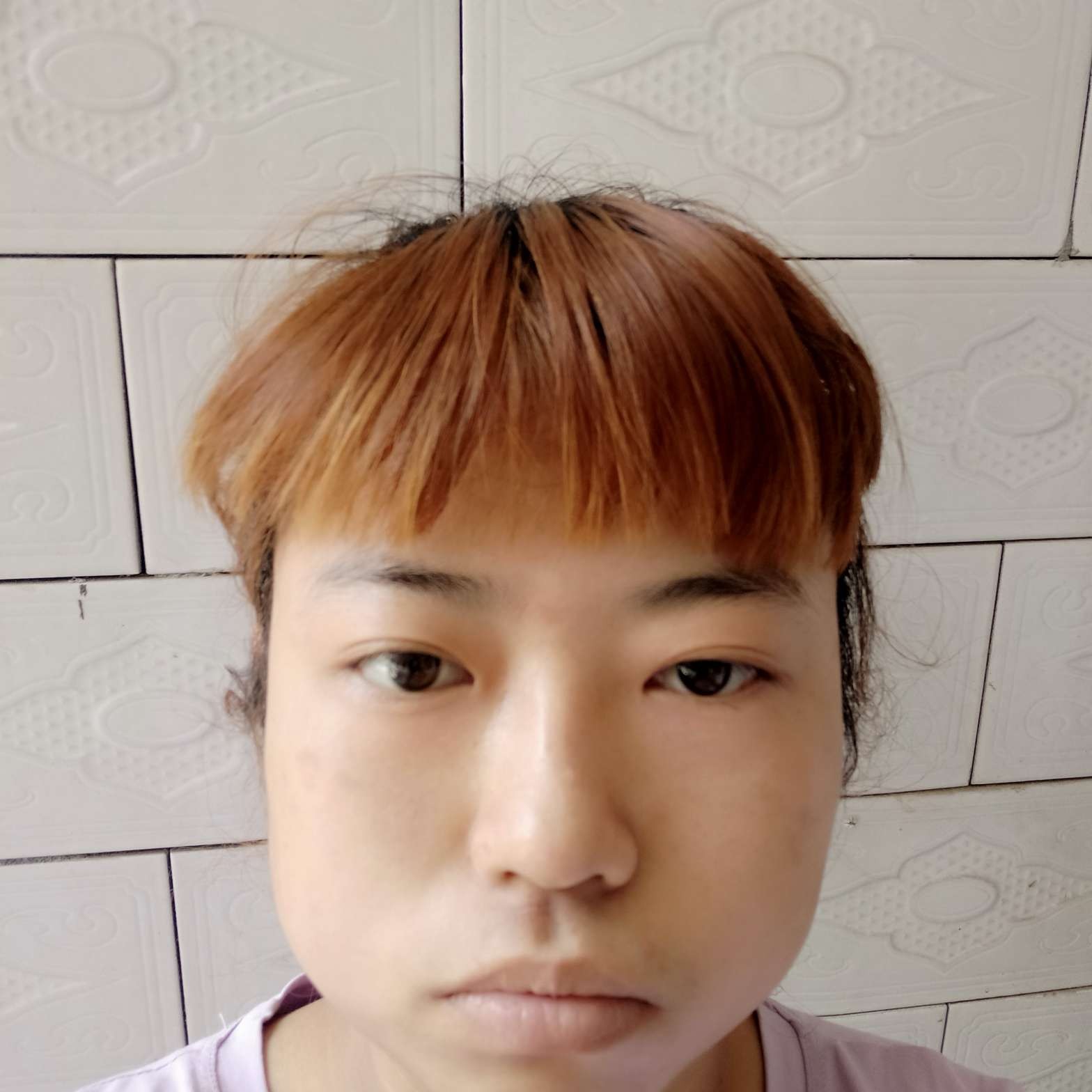 聪明凝眸河马的照片