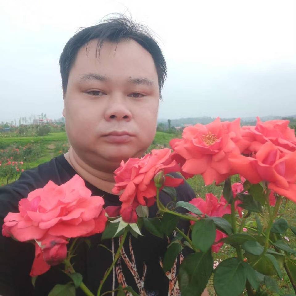 单薄向流年的照片
