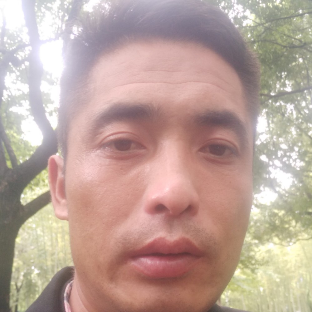 灼热回眸紫菜的照片