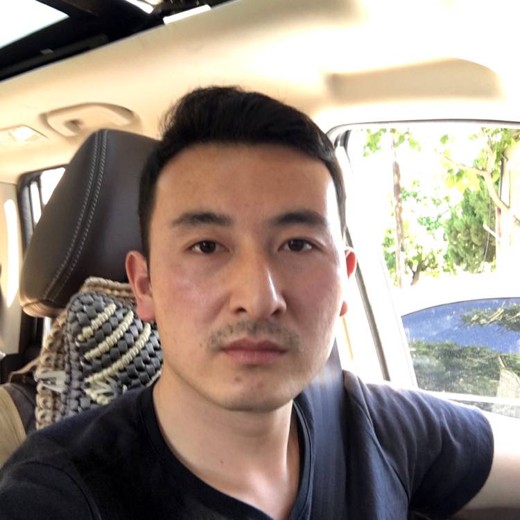 小海豚酷酷的照片