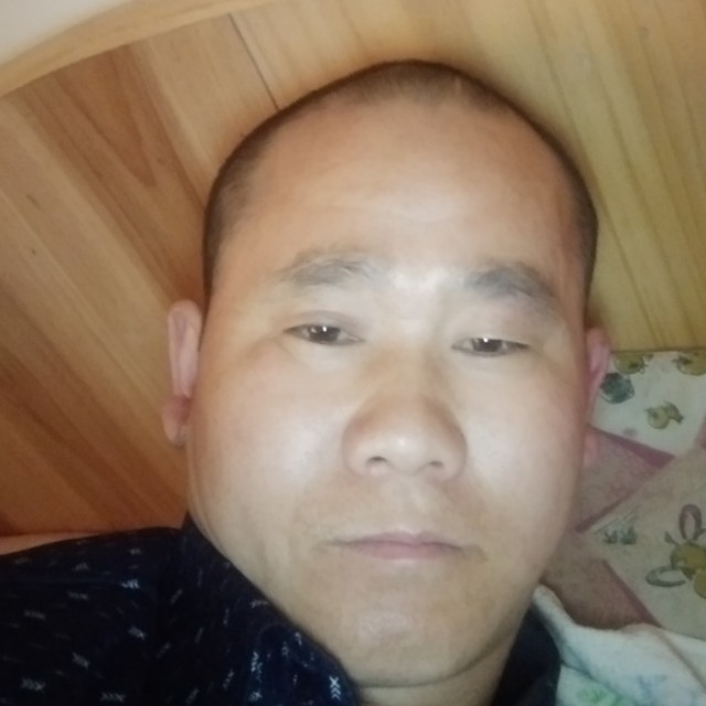 感动倾心毛豆的照片