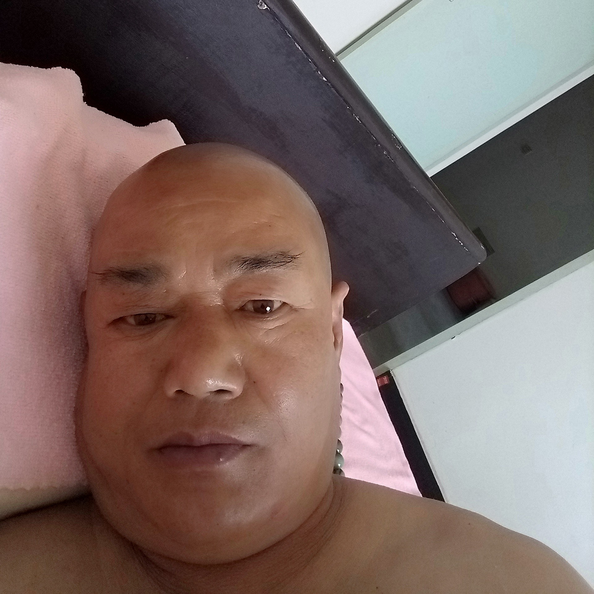 刺猬演变爱笑的照片
