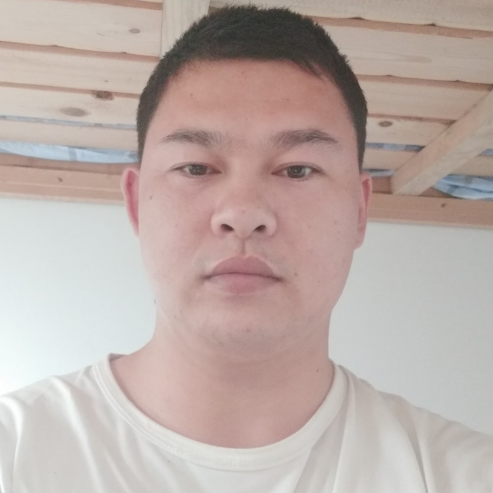 安详的翅膀的照片