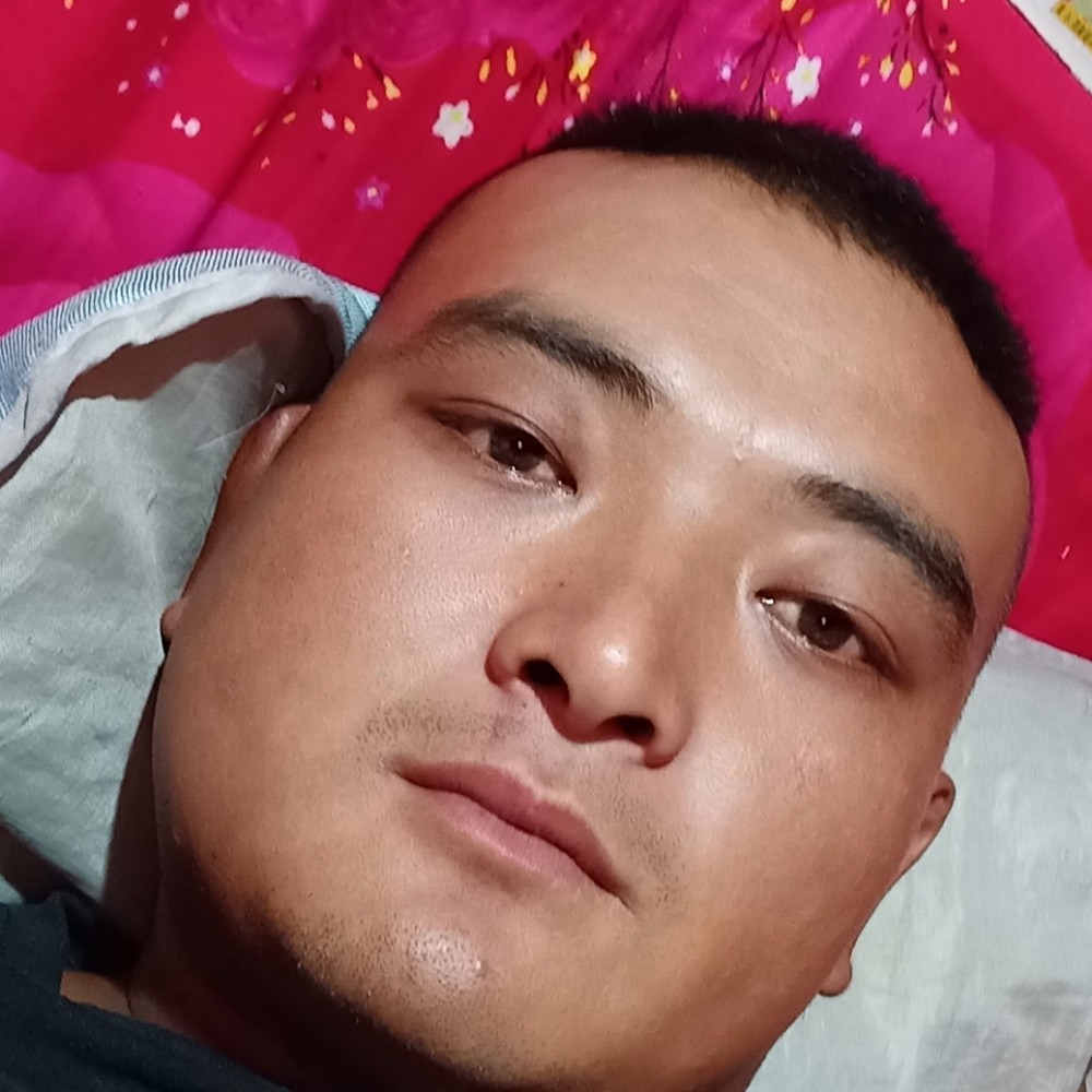 老鼠那成就的照片