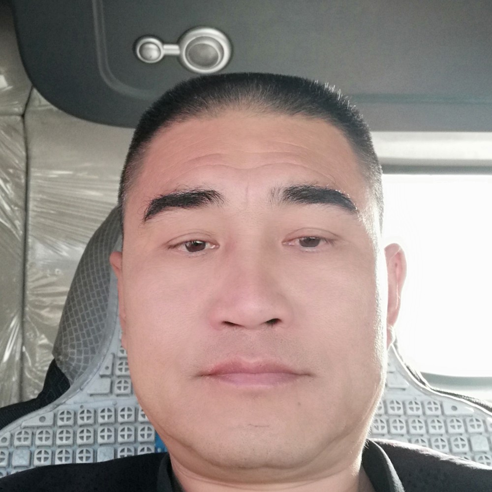 孤独的领悟的照片