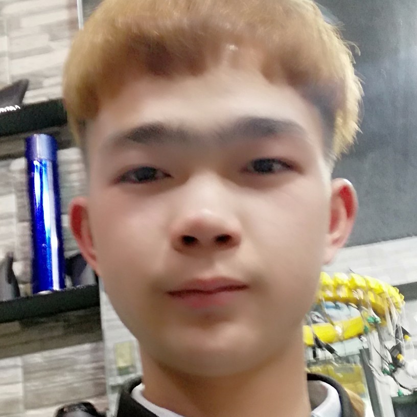 小蚂蚁等待的照片