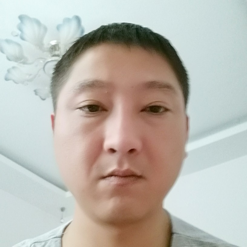 简单机器猫的照片