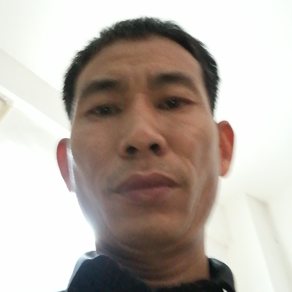 等待燕子归的照片