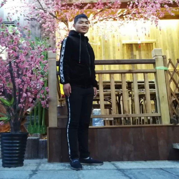 爱的诗意的照片