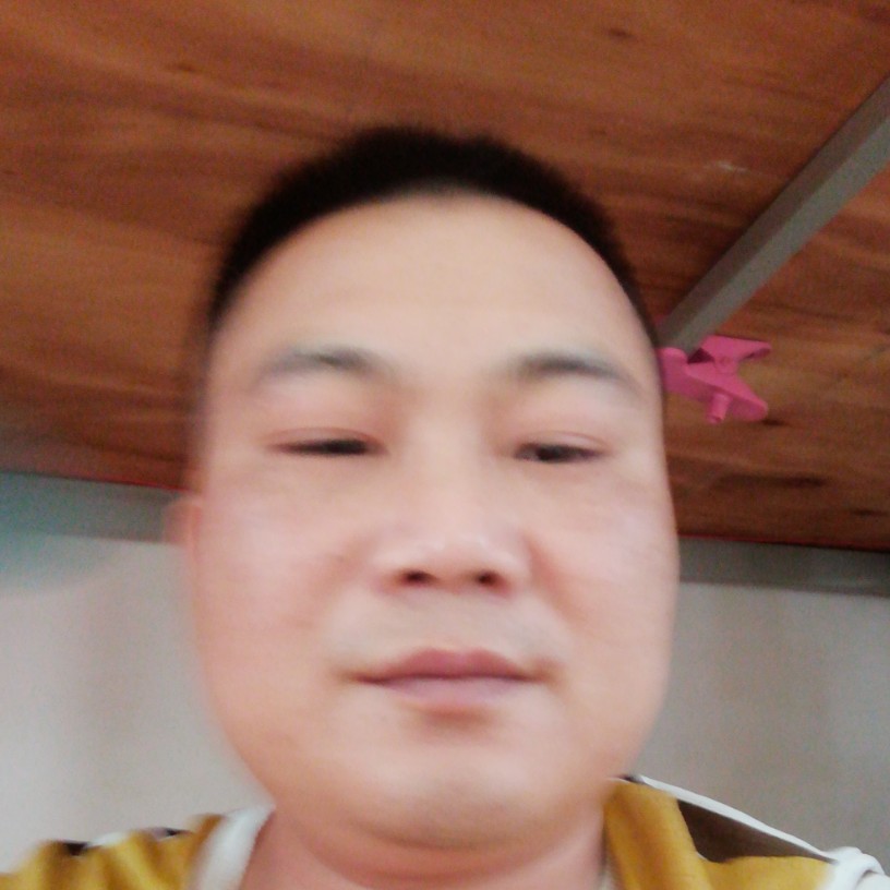 向日葵等待朴实的照片