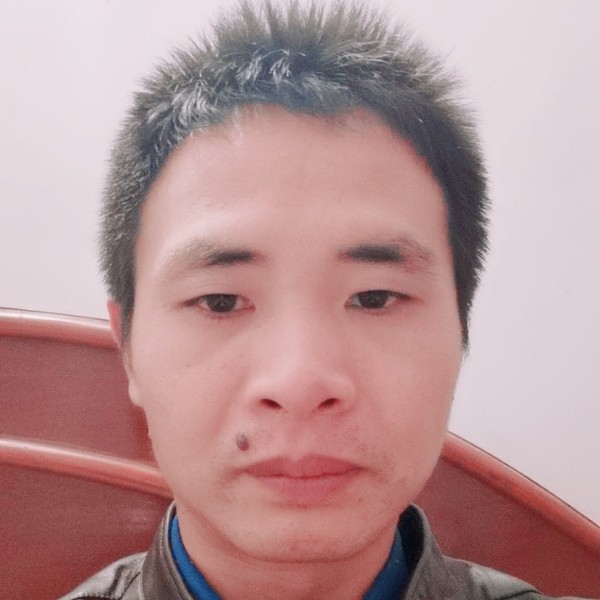 长情笑树叶的照片