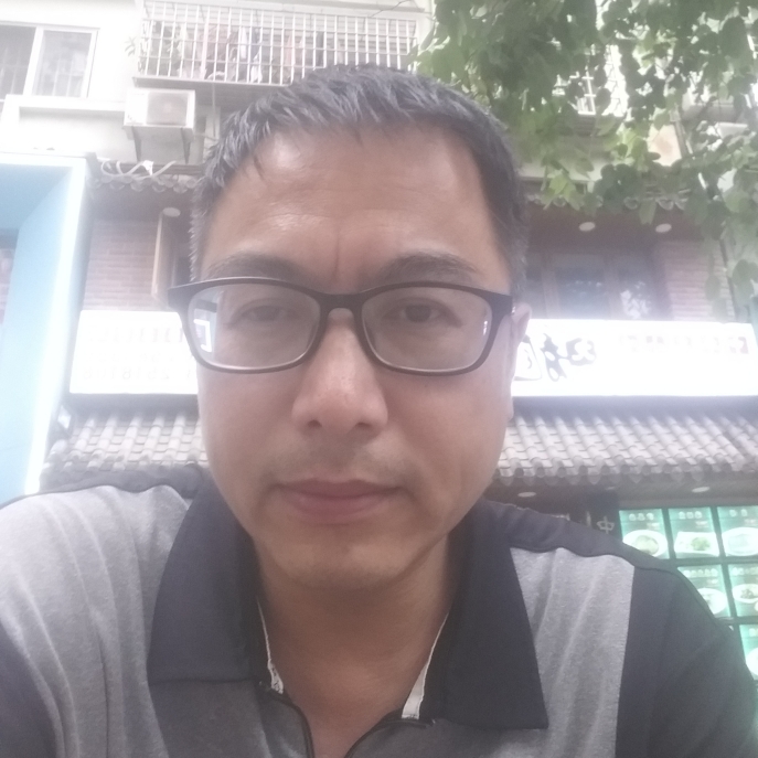 北雁·南飞的照片