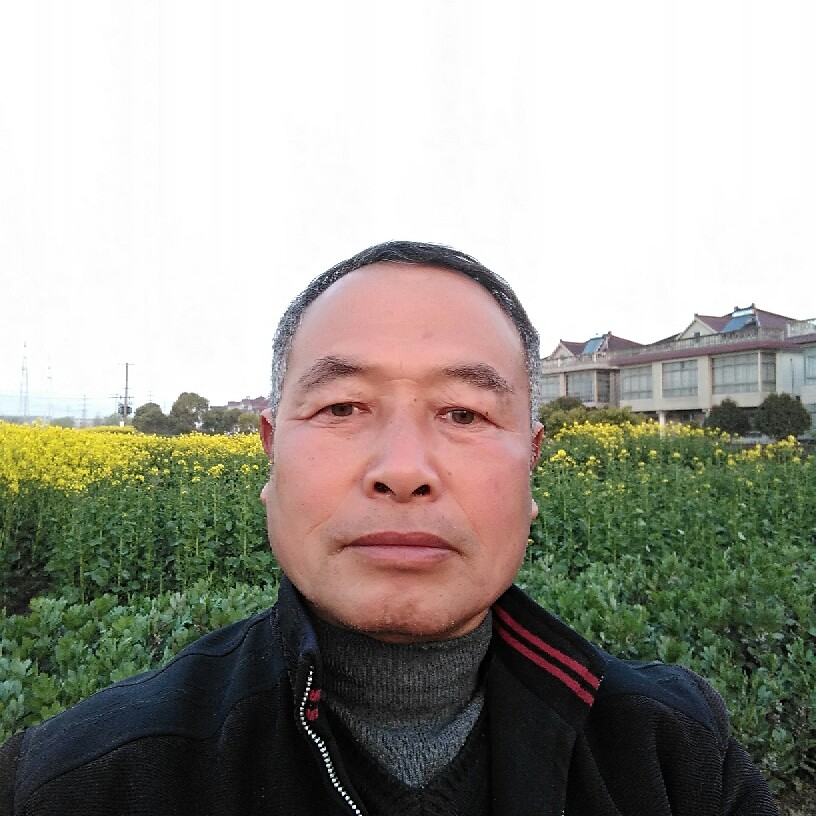 太仓洋洋洋的照片