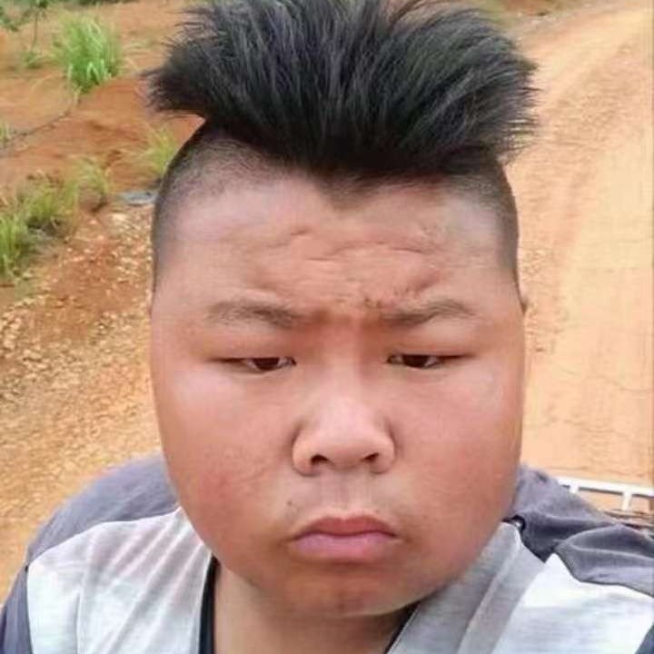 哈密瓜回眸风趣的照片