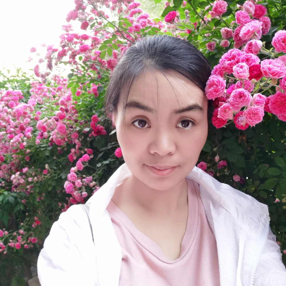 春风荡浮萍的照片