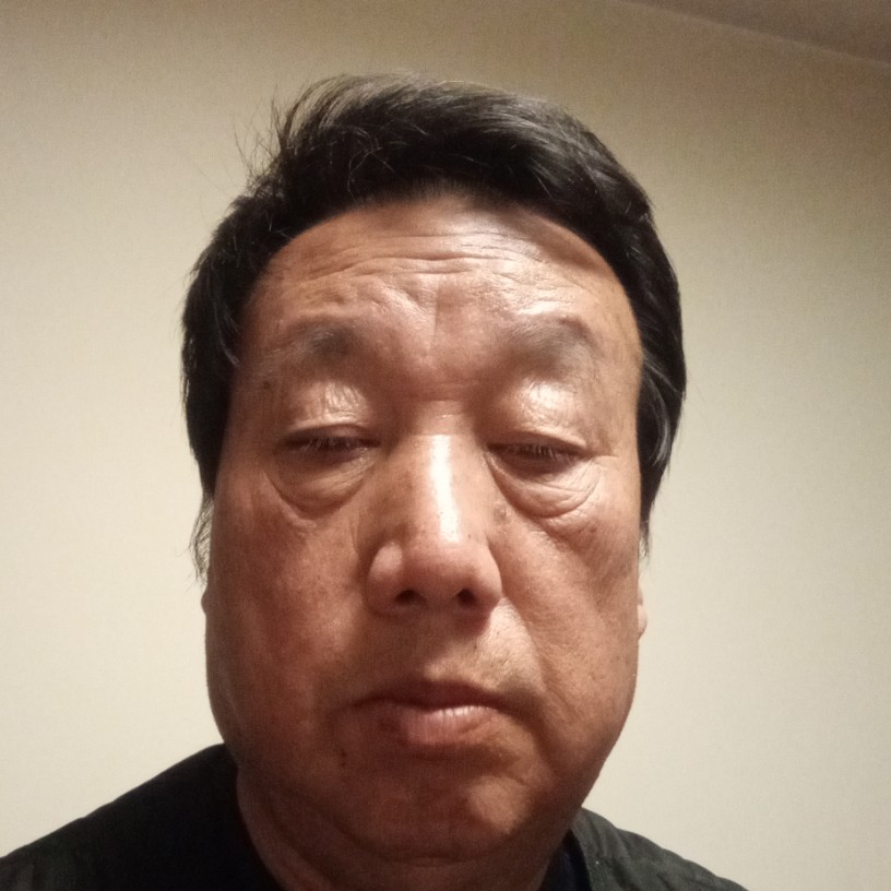 枫树叶的照片