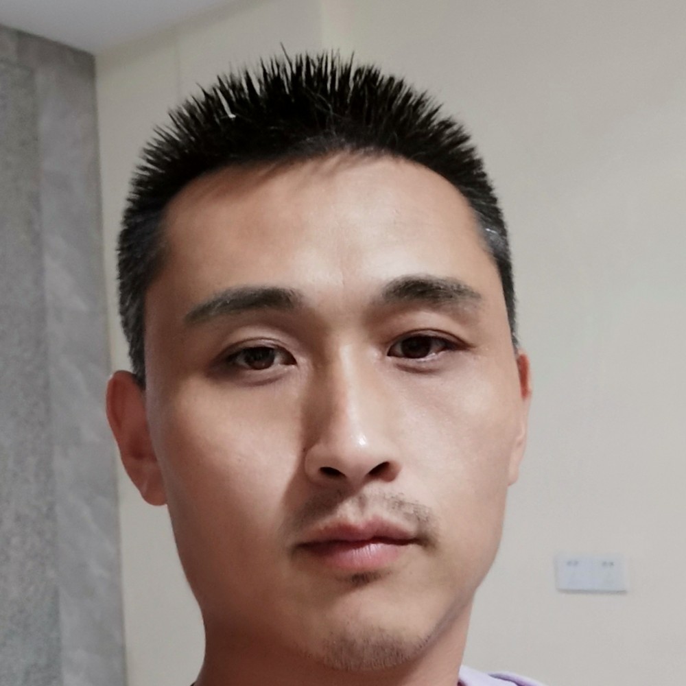 斑马还独寂的照片