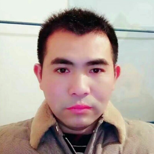 娇气大树的照片