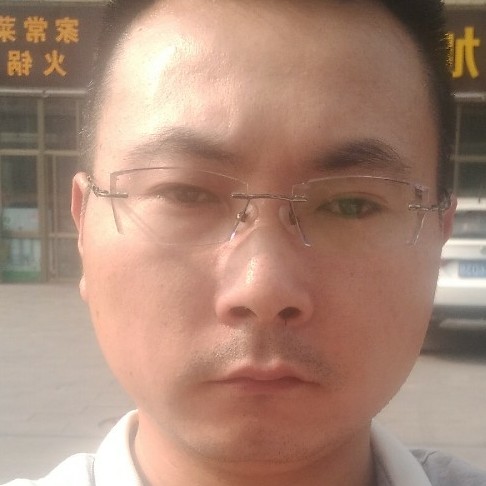 天空孤雁的照片