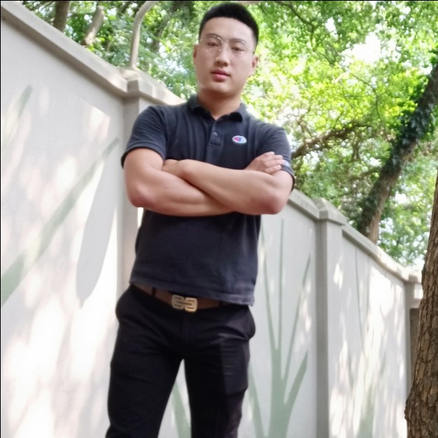 海燕演变绚烂的照片