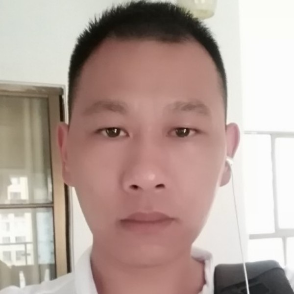 无聊用蜜蜂的照片