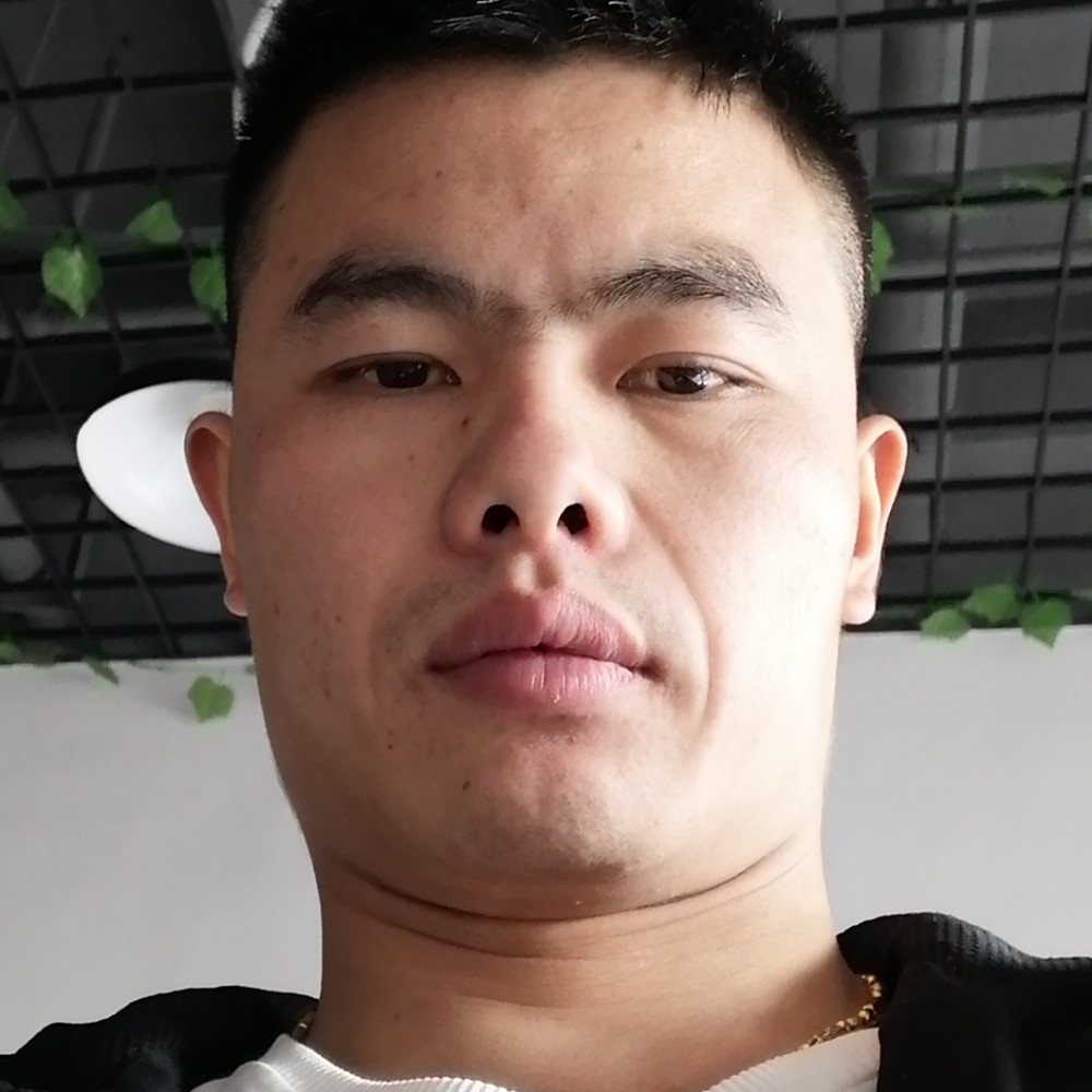 俊逸停止飞鸟的照片