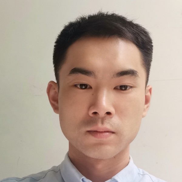 危墙之上的照片