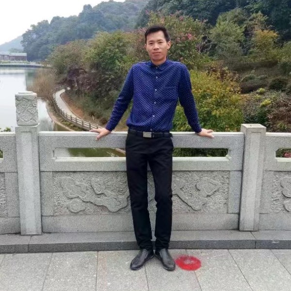 煎蛋传统的照片