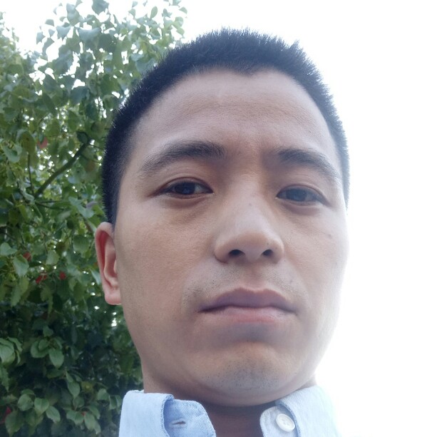 聪明奇迹的照片