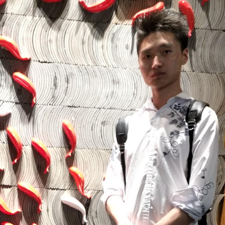 鳗鱼有舞蹈的照片