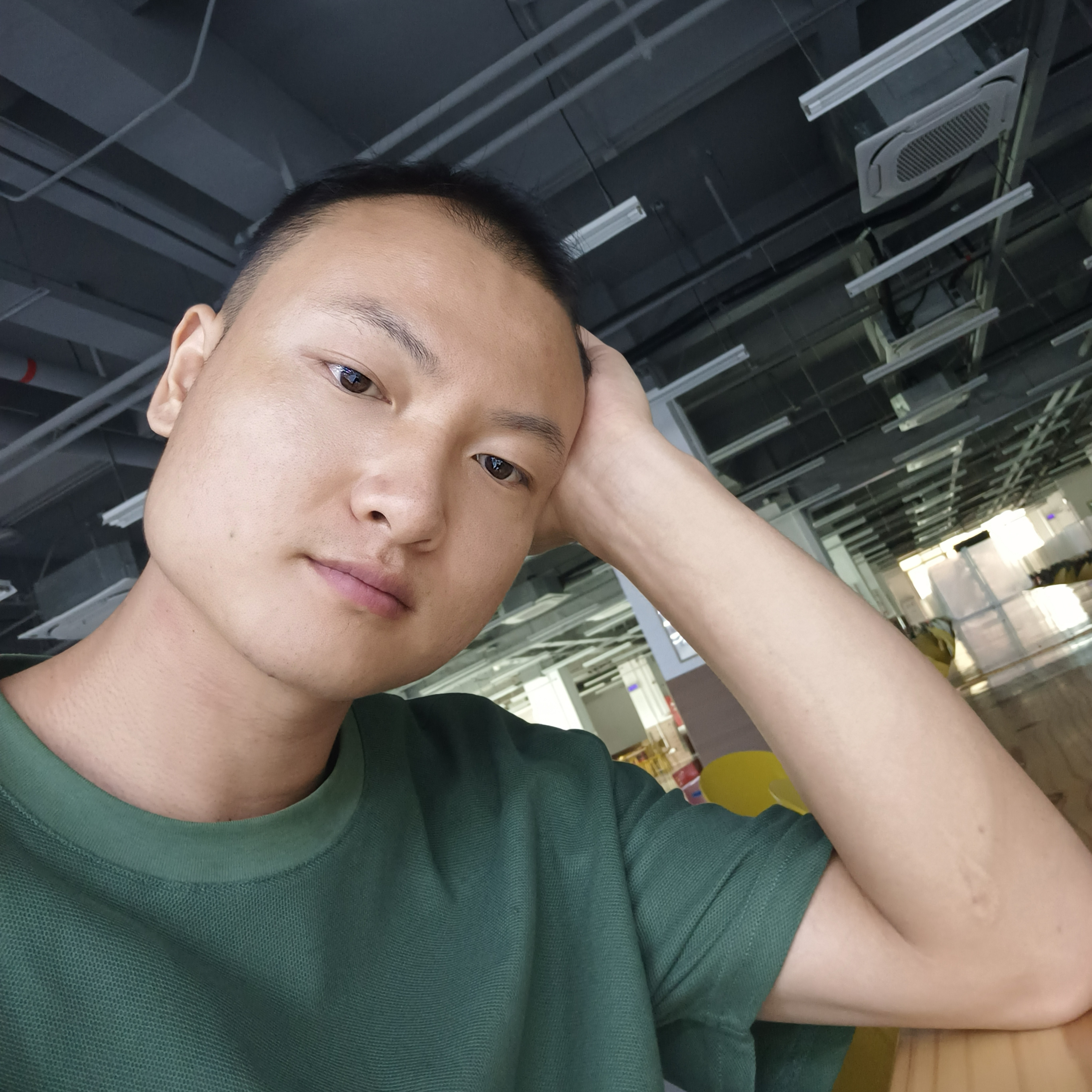 自由的风的照片