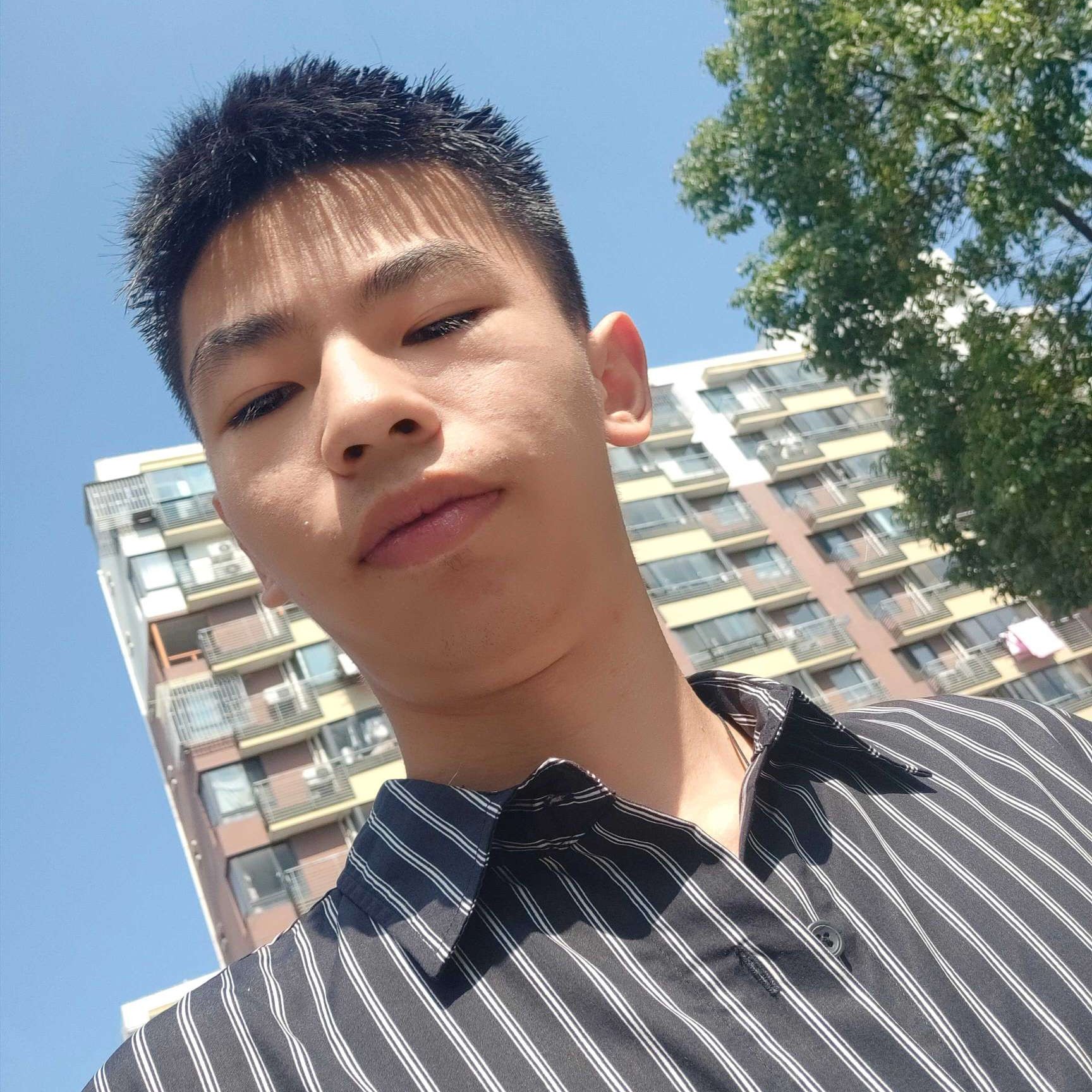 紫萱那怕孤独的照片