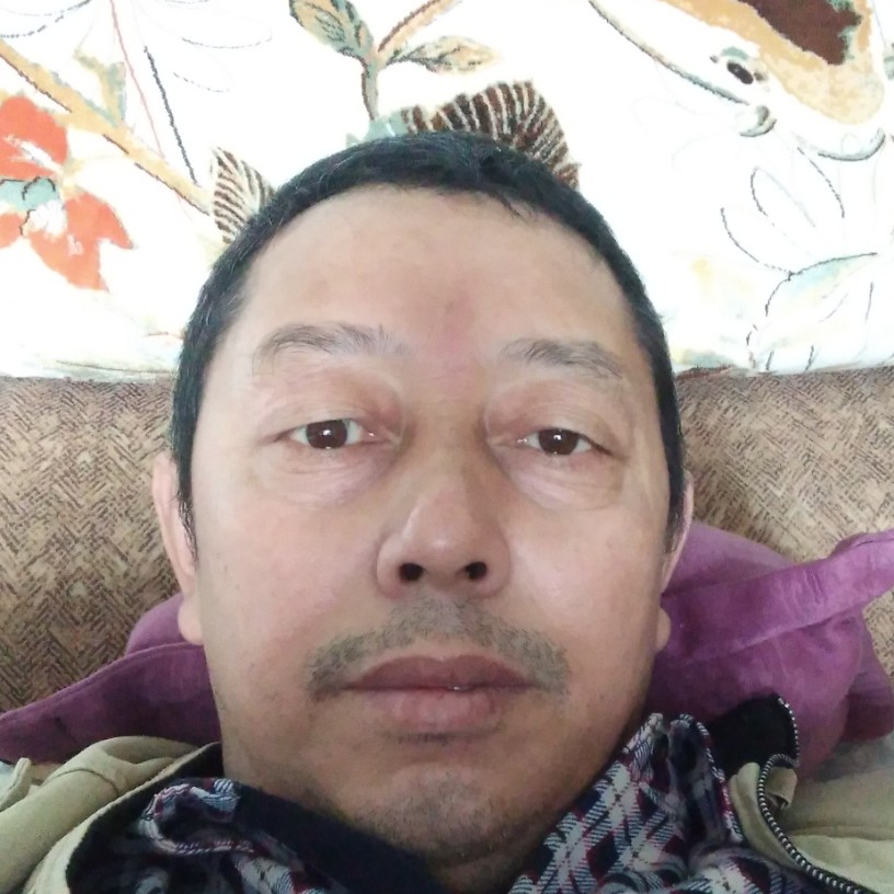 大雁打动人的照片