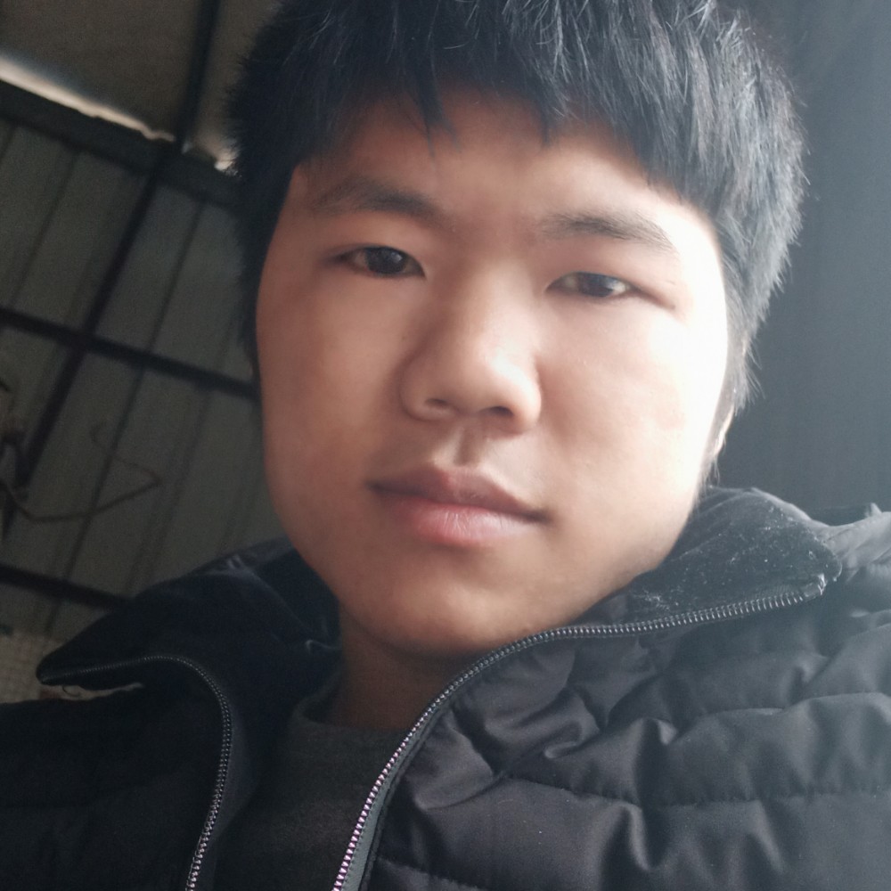 唯一的热狗的照片