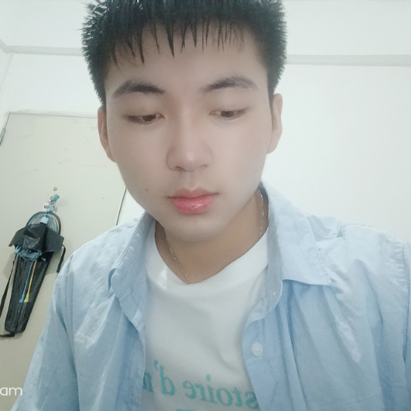 懵懂拾忆蜜蜂的照片