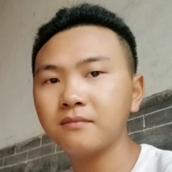 网络的辛勤的照片