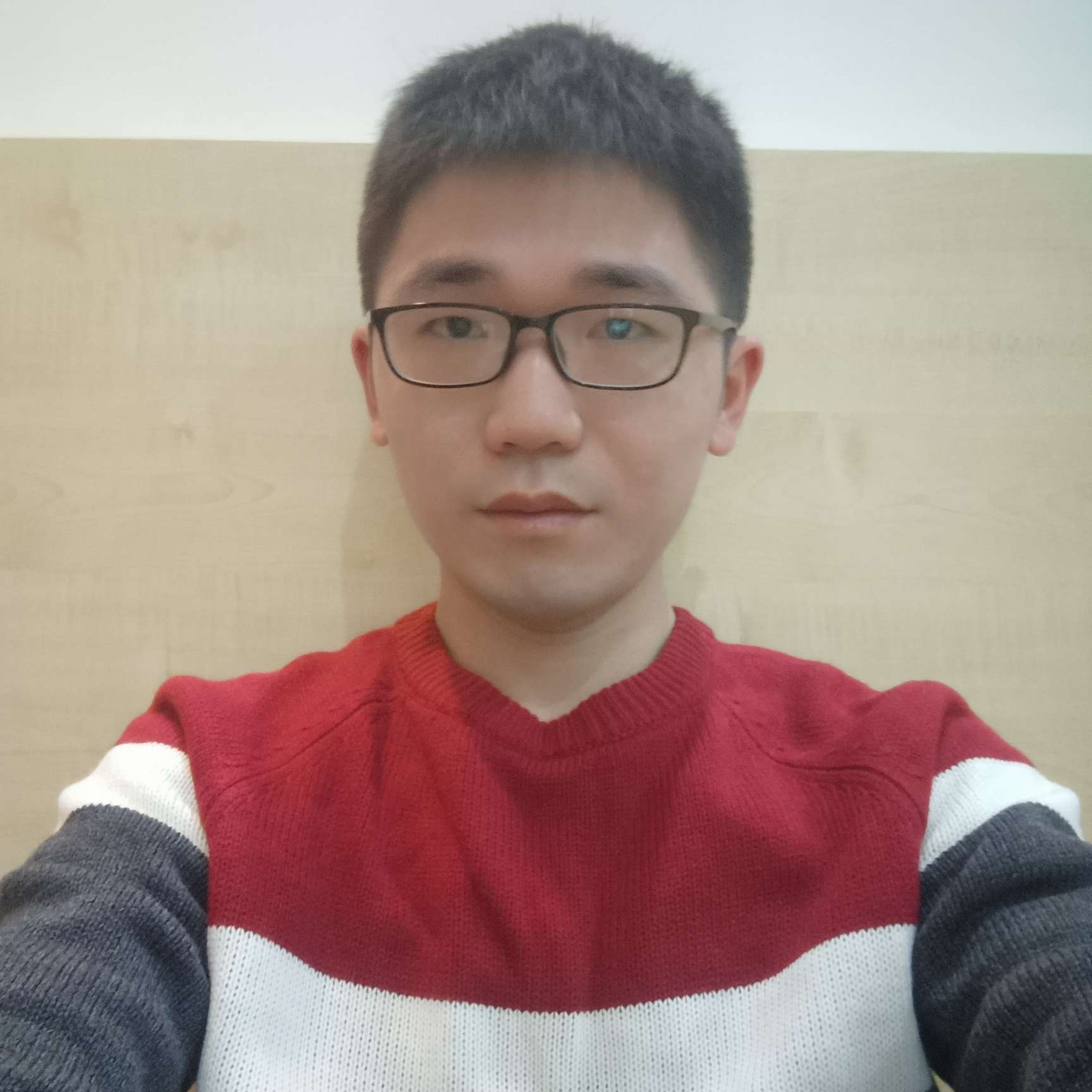 枫树林叶的照片