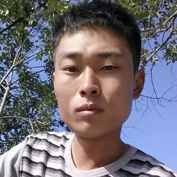 爱撒娇的猫咪的照片
