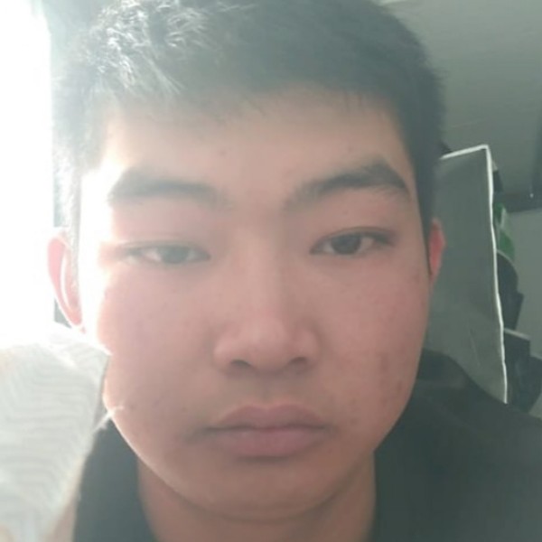 干净凝眸黄蜂的照片